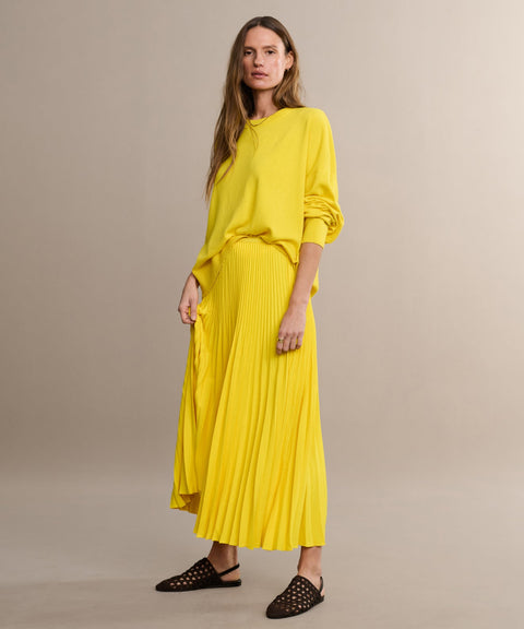 Pleated Skirt
